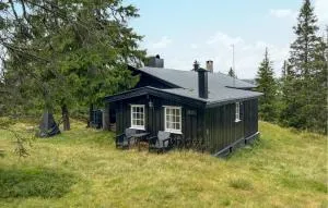 Cozy Home In Sjusjøen With Sauna - Mesnali