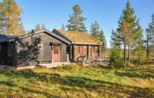 Lovely Home In Särna With Sauna - Ringbo