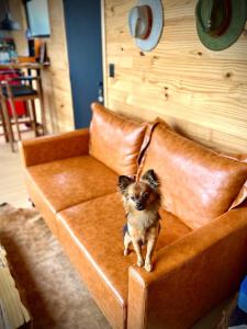 Refúgio Veadeiros Container