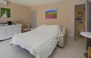 Maisons de vacances Stunning Home In Noves With Wifi : photos des chambres