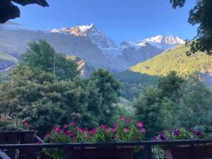 Hotels Hotel des Alpes - Skiers & Bikers Lodge : photos des chambres