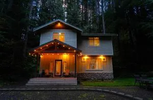 Snowline Hillside Chalet - Concrete