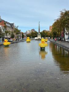 Sublime appartement au centre de Bruxelles