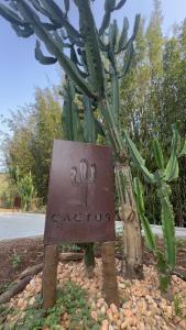 Cactus Cabana