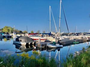 Sweet Cherry "Coral Shutter"