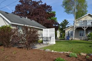 Sweet Cherry "Coral Shutter"