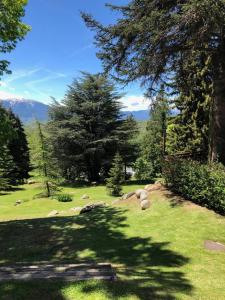 Appartements Cerdanya en familia Montana Park : photos des chambres