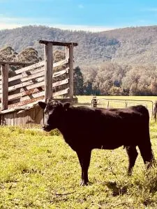 Peppercorns Riverside Farm Stay - Allworth