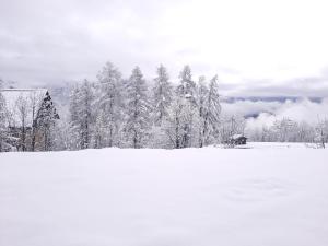 T2 lumineux en rdc, avec vue panoramique