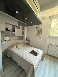 Ipponatte 29 Roma Casal Palocco