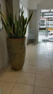 Executive Celita Franco - Conceição de Jacuípe