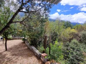 La Cabaña de Don Chuy