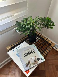 Encantador y hermoso apartamento en plaza italia para 2