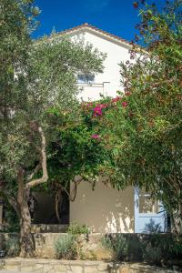 Armonia Bay Hotel Samos Greece