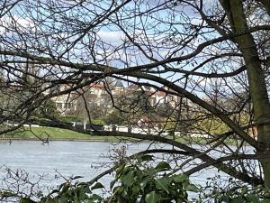 Maisons de vacances Maison de meuliere pres de Paris avec jardin, cheminee et tout confort inclus - FR-1-527-45 : photos des chambres