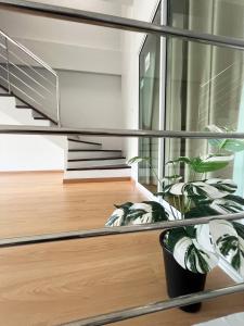 Monday Guesthouse Hatyai