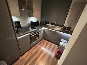 1 bedroom luxury apartment in Basingstoke - Dummer