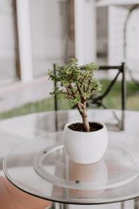 Casa Blan ca Pimentel