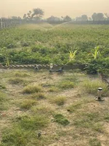 Sambhar Village - Sambhar Lake