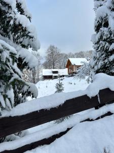 ŻŁOBINA Apartament