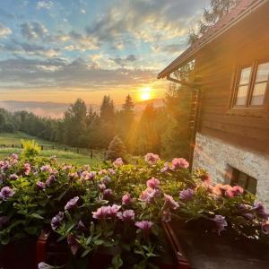 ŻŁOBINA Apartament