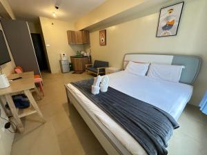 Cebu Avida Riala Tower one 2511 IT Park