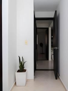 Apto en San Gil, cómodo, seguro y con vista 1A.