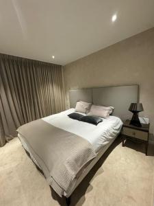 Luxury Chelsea Waterfront View