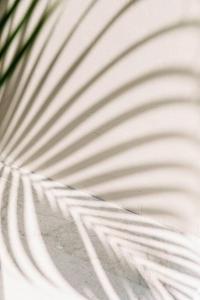 Design Villa Walking distance to Echo Beach!