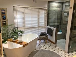 Luxury and homely stay