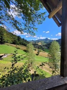 RALPH Cabin- Apuseni Mountains, Transylvania