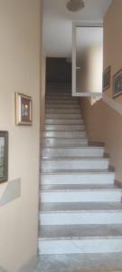 Polvere di Stelle
