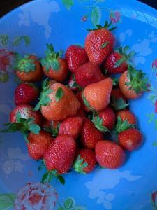 Skyline villa free parking on premises