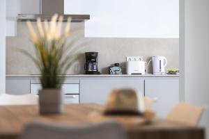 Albercutx Pollentia 3