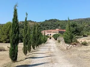 Camí Romà - Albiol