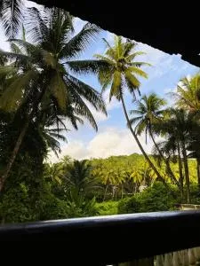 The Coco View Apartment - Даболім