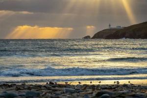Galley View Ardfield Clonakilty