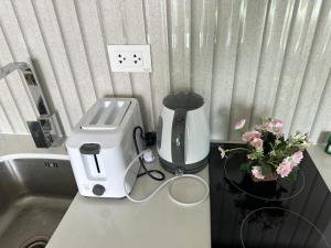 Olympus city garden lei