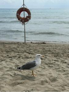 La Casa degli Angioletti