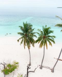Baa Sand Maldives