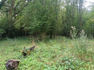 B&B / Chambres d'hotes Suite Balneo en bord de foret : photos des chambres