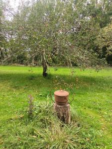 B&B / Chambres d'hotes Suite Balneo en bord de foret : photos des chambres