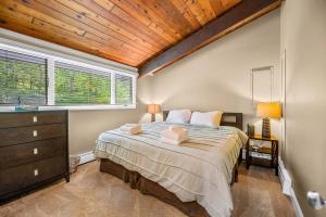 Alpine Court Chalet home