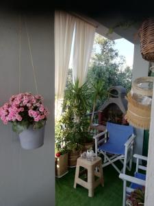 mastic flavored sweet