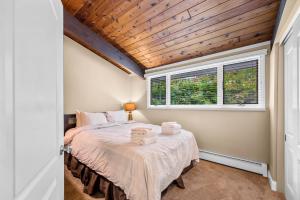 Alpine Court Chalet home