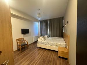 Bakuriani Inn - Triple Lux #332