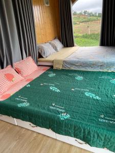 Gạo hạt dẻ homestay