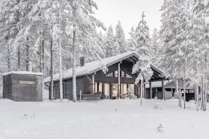 Naava - A cozy cabin with two saunas and hill views - 波西奥