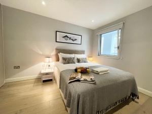 Luxury Apartments in Westminster
