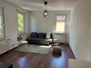 Familienfreundliche, ruhige Wohnung zum Erholen! - Falkenstein